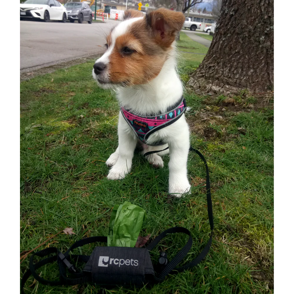 Pup Bag - Poop Bag Dispenser - Image 6