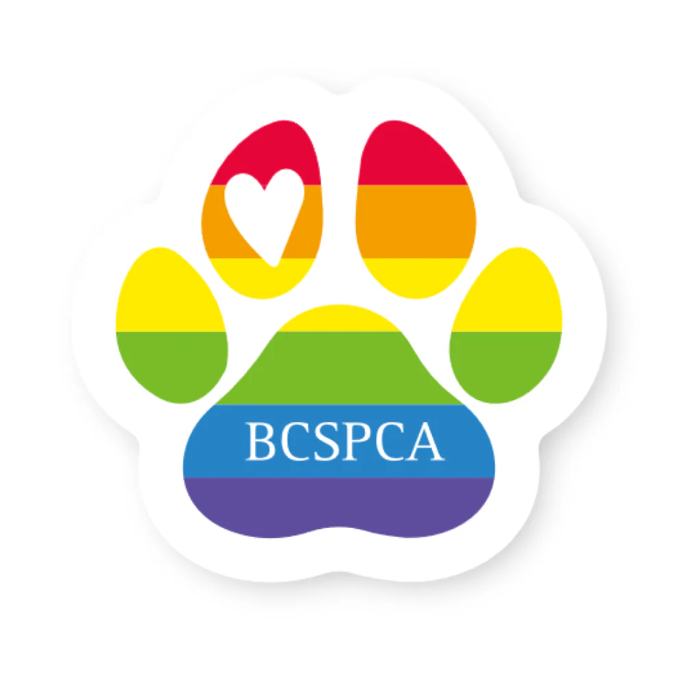 Stickers - Image 7